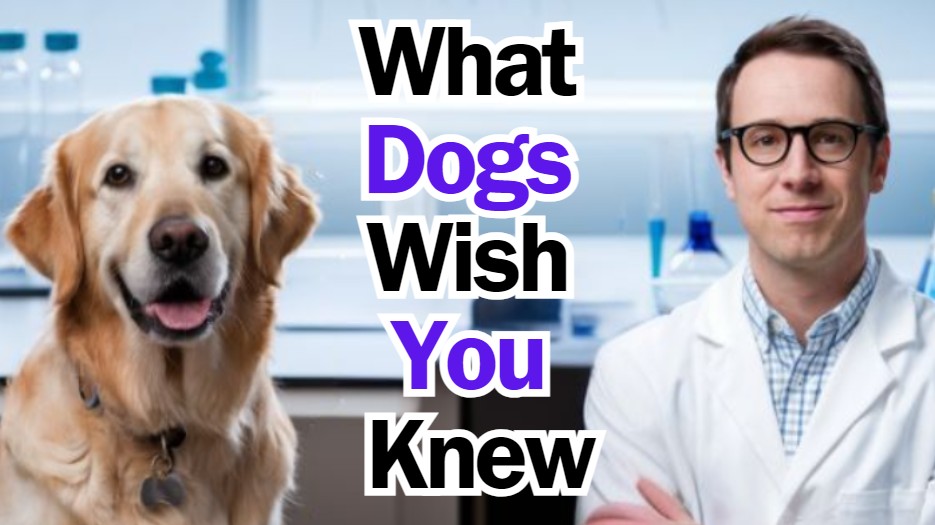 What Your Dog Is Trying To Tell You